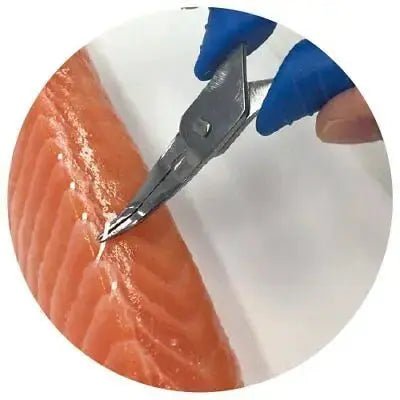 Butchers Asahi Fish Bone Tweezer Stainless Steel Blue AllYourBlades