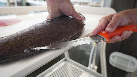 Dexter Russell DEXTREME 6" 15cm Flexible Fillet Knife with Sheath DX6F