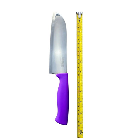 Diekensen 6" Santoku Knife Plastic Handle - Purple AllYourBlades